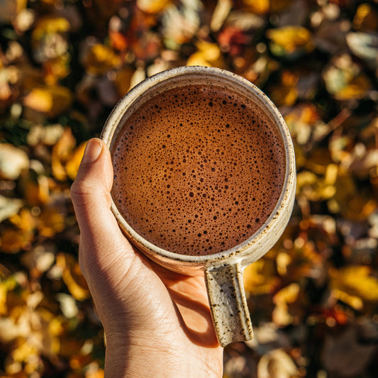 High-quality image capturing the essence of cacao, perfect for product promotion