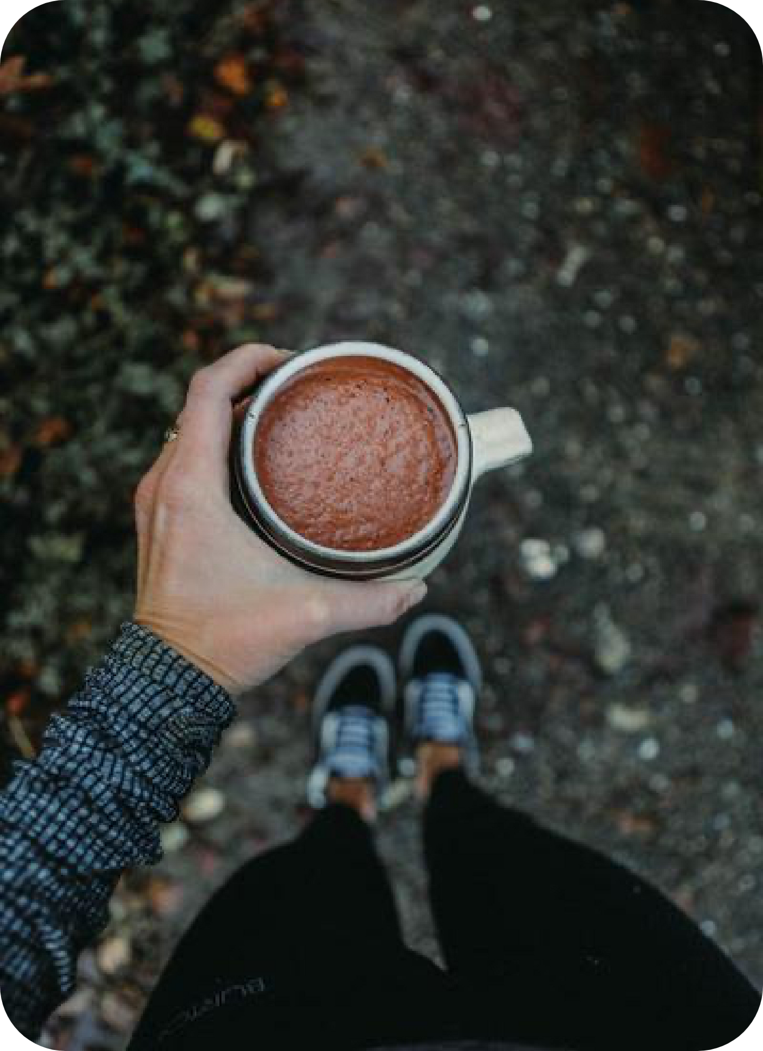 Image showcasing a significant cacao ceremony or related activity