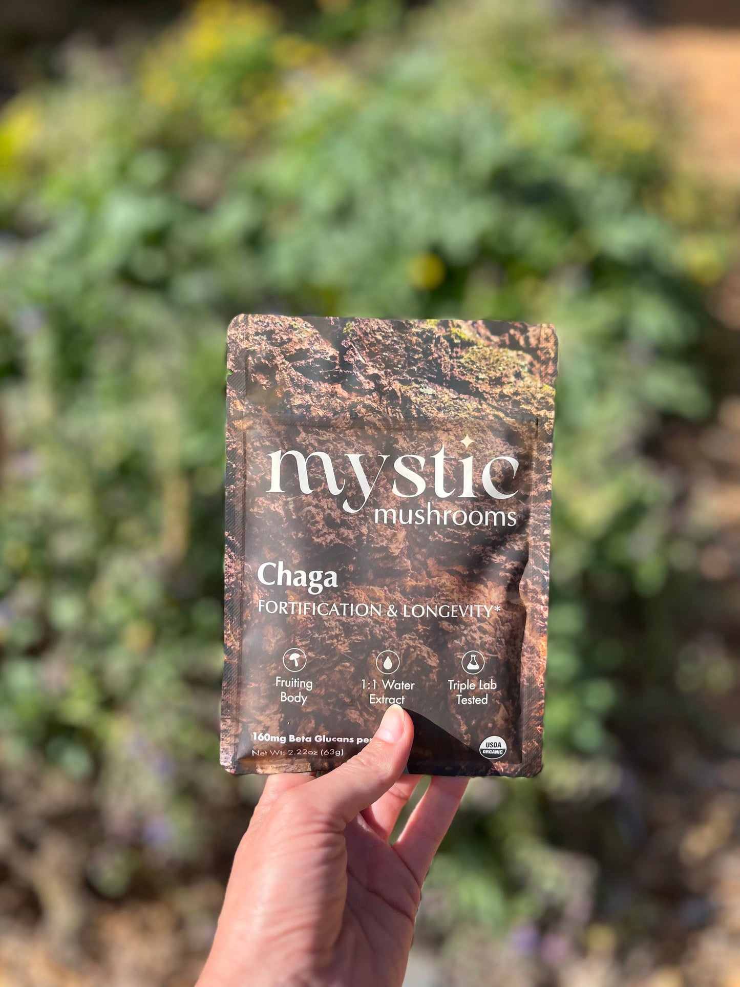 Chaga Herbal Supplements Mystic Mushrooms