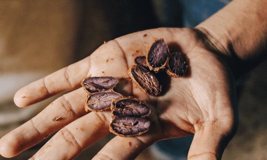 Connected cacao collection, shop all products to enhance your ceremonial cacao experience