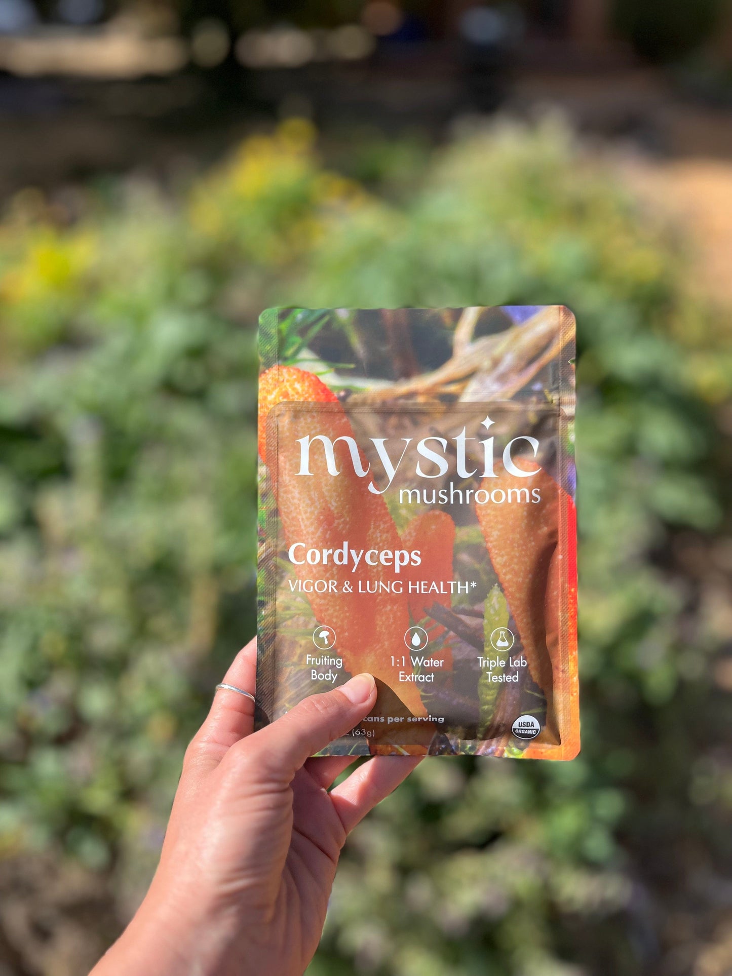 Cordyceps Herbal Supplements Mystic Mushrooms
