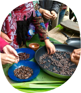 Learn About Cacao
