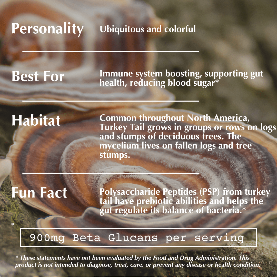 Image of Meet Turkey Tail product label highlighting immune health benefits of Turkey Tail mushrooms