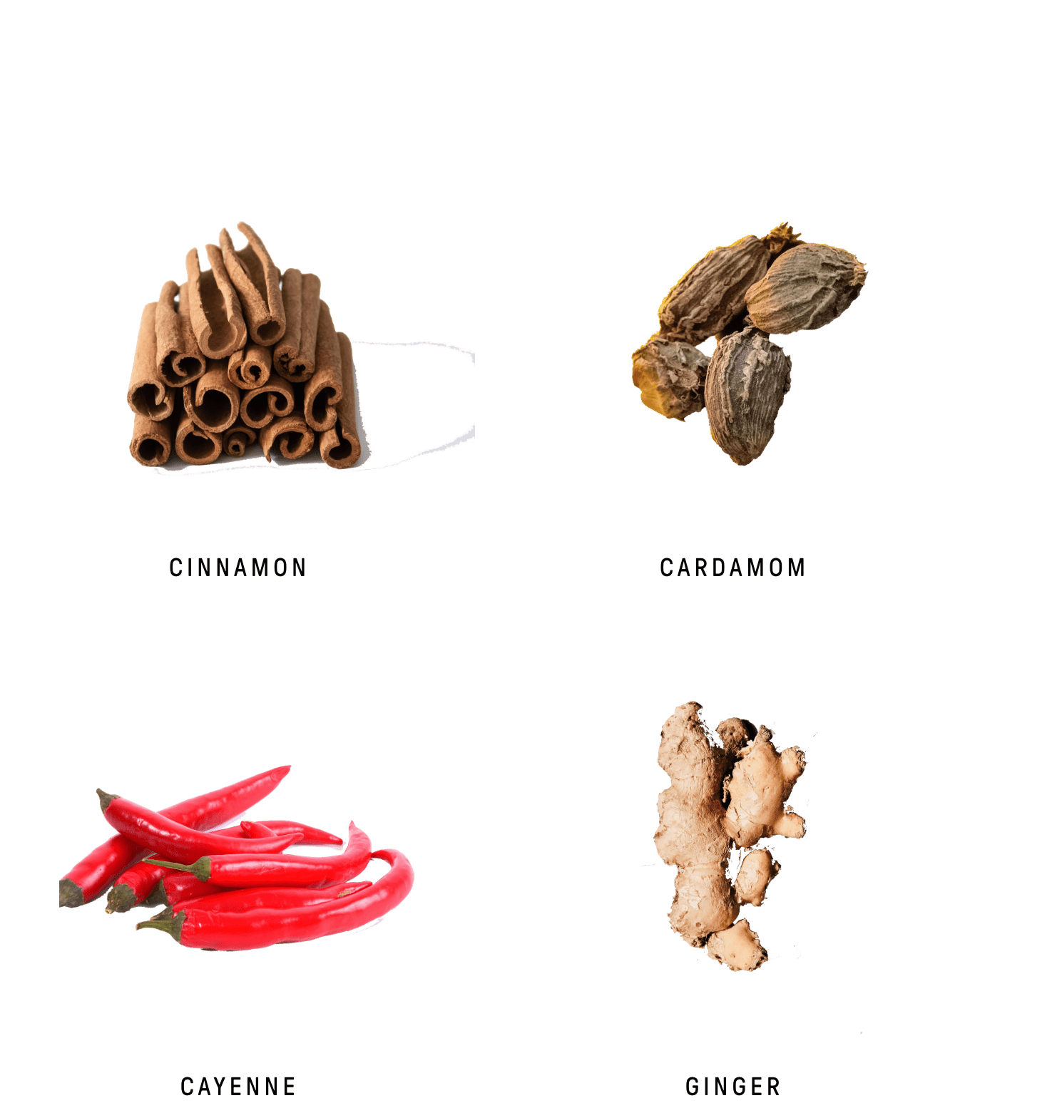 Oaxacan cacao blend image showing its rich and vibrant chocolate texture and appeal