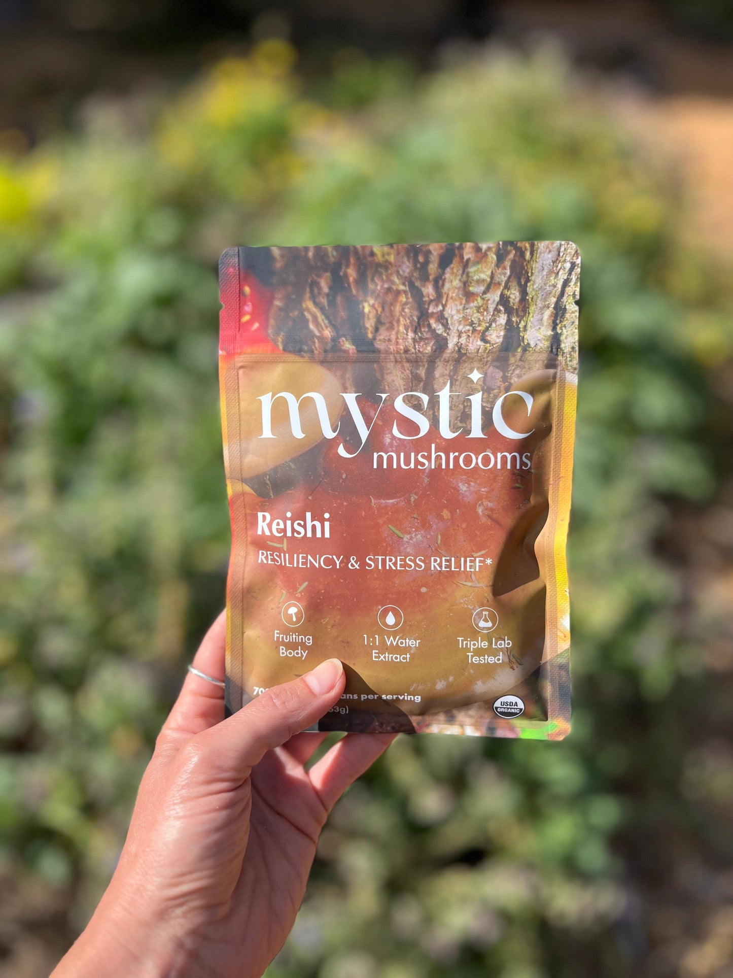Reishi Herbal Supplements Mystic Mushrooms