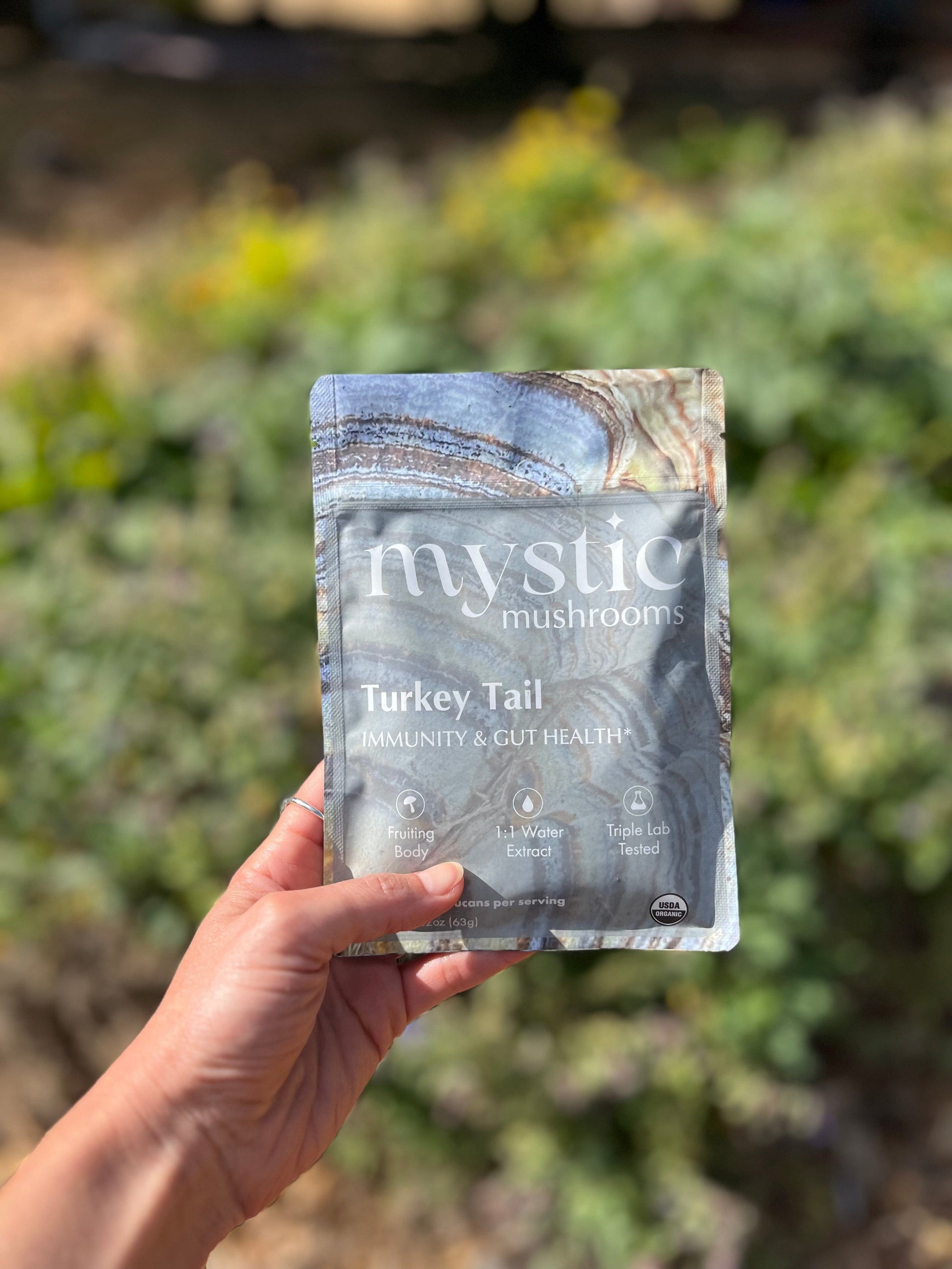 Turkey Tail Herbal Supplements Mystic Mushrooms
