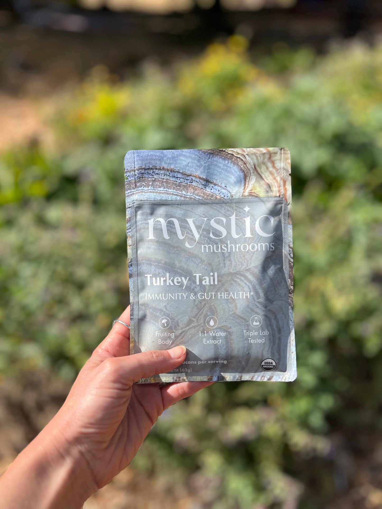Turkey Tail Herbal Supplements Mystic Mushrooms