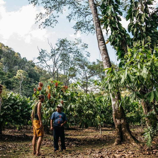 The People Behind Your Cup of Cacao