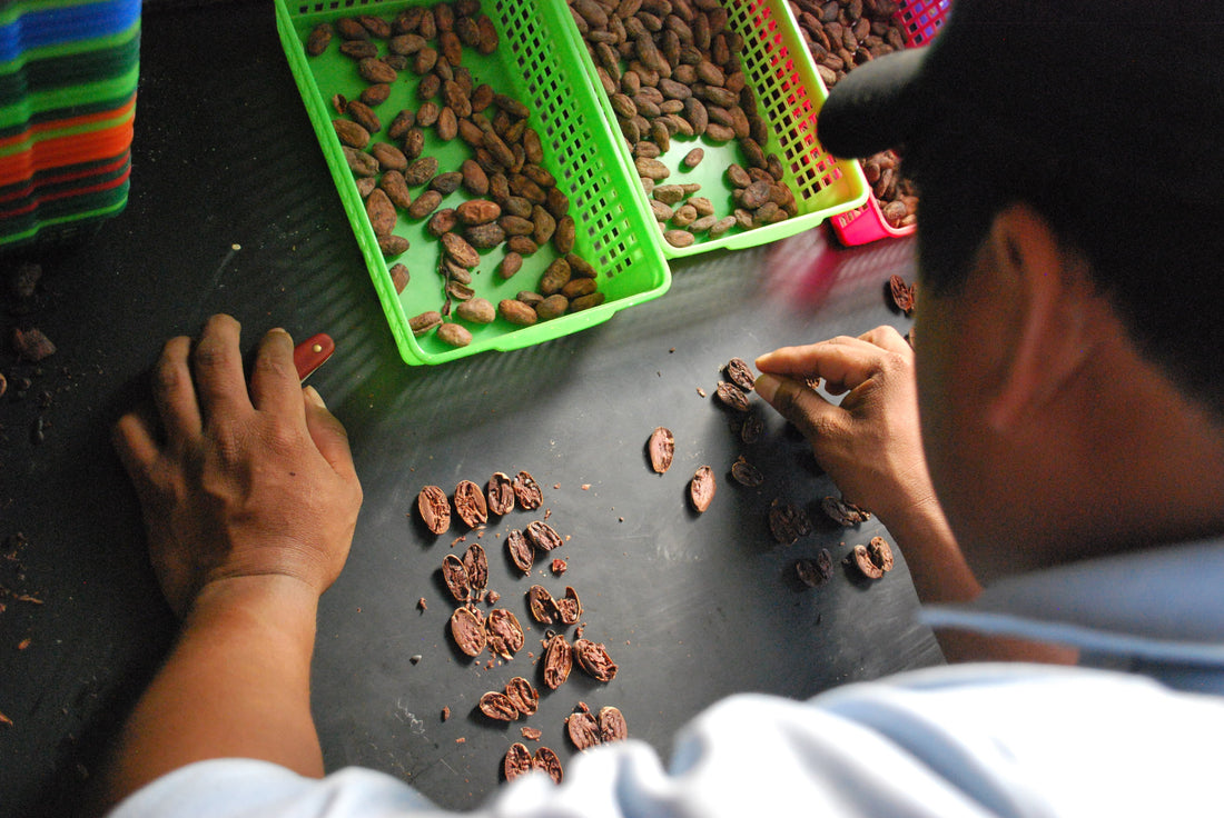 The Science of Cacao & Flow State