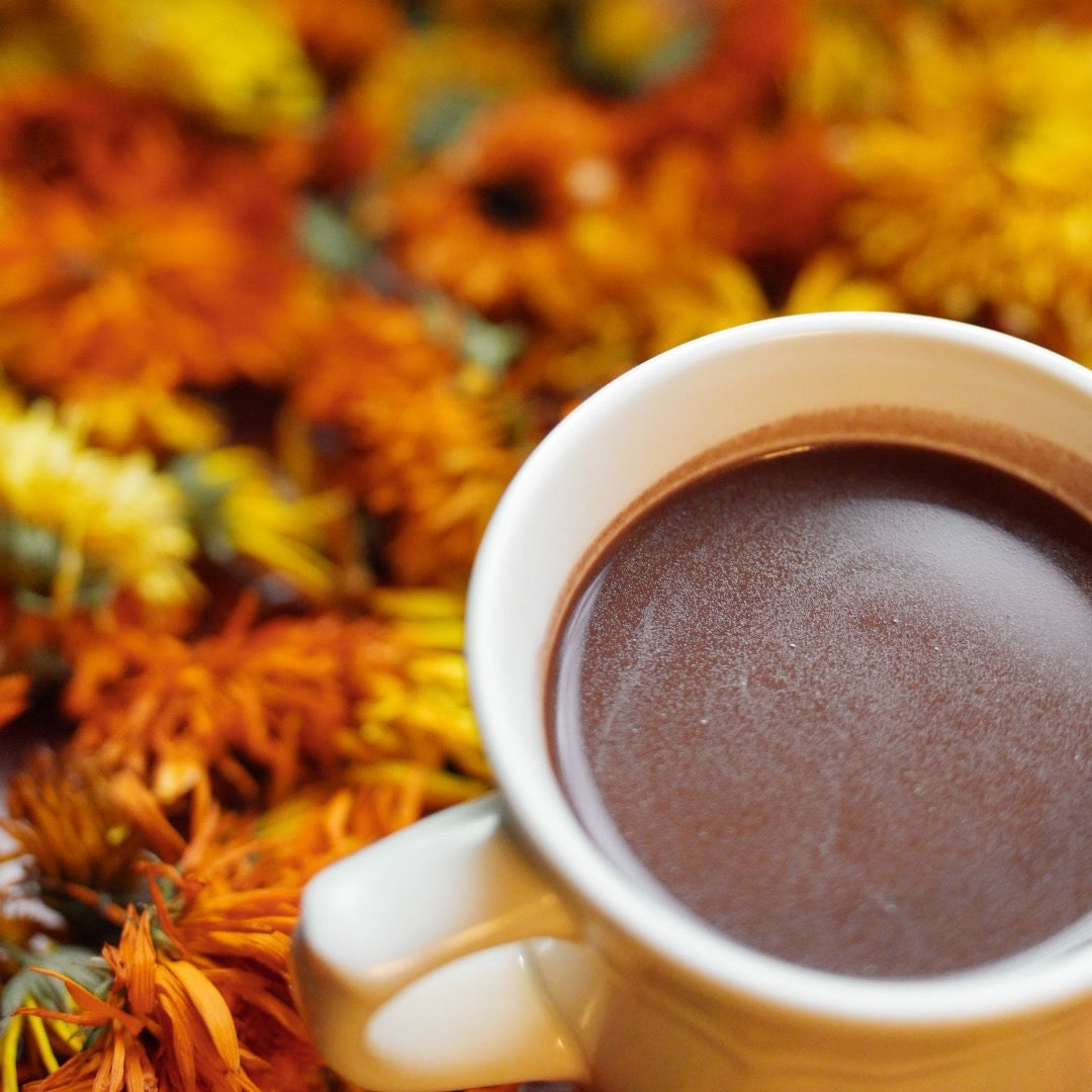 March Ritual Report: Discover This Month’s Key Moments for Cacao Ritual