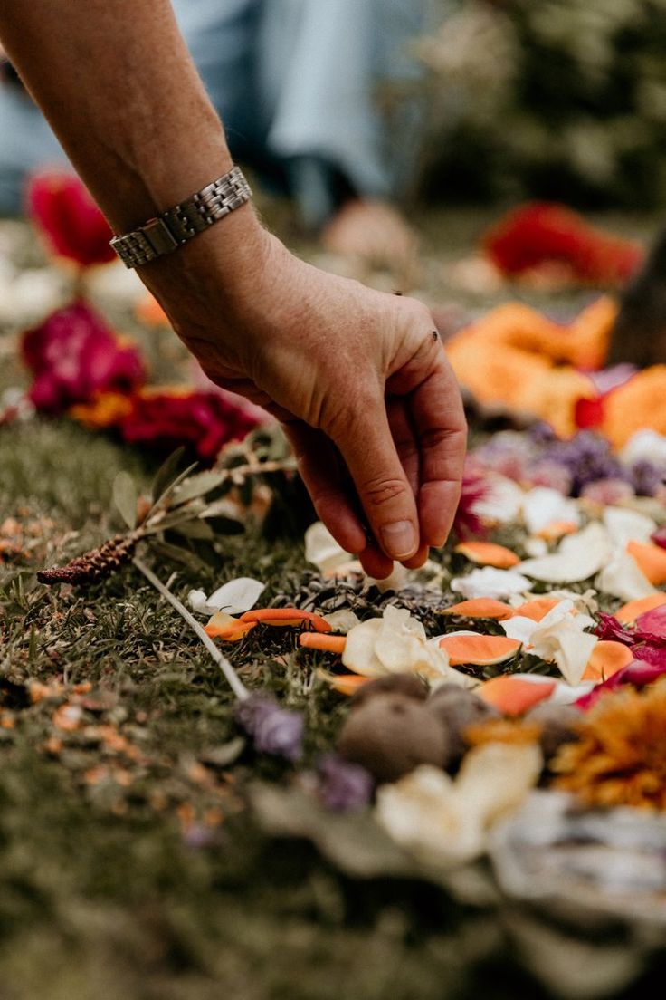 Summer Solstice Nature Altar + Cacao Ritual 🌞