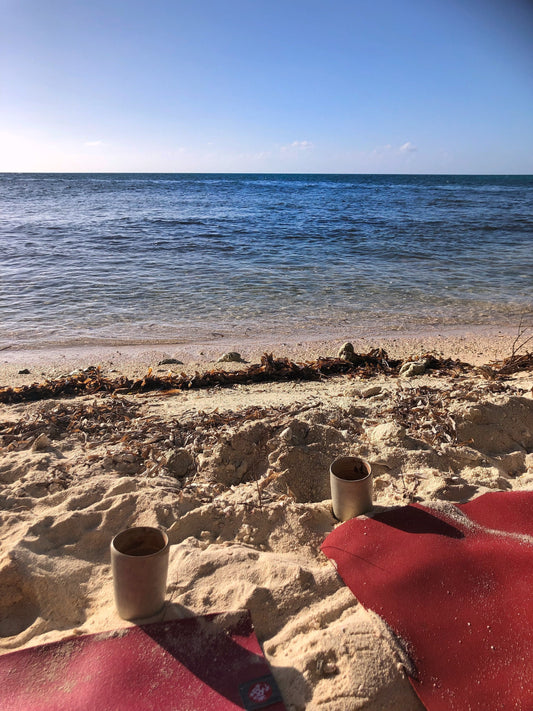 Microdosing Cacao On An Island