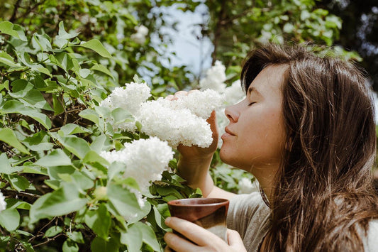 Cacao For The Earth