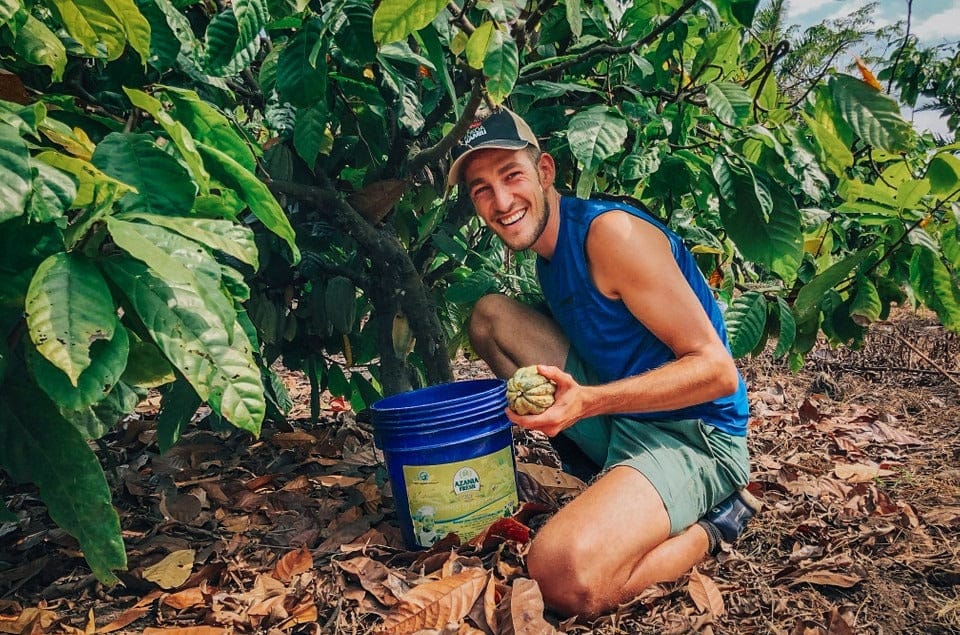 Update on Polyphenol Testing from Jonas, Ora’s founder