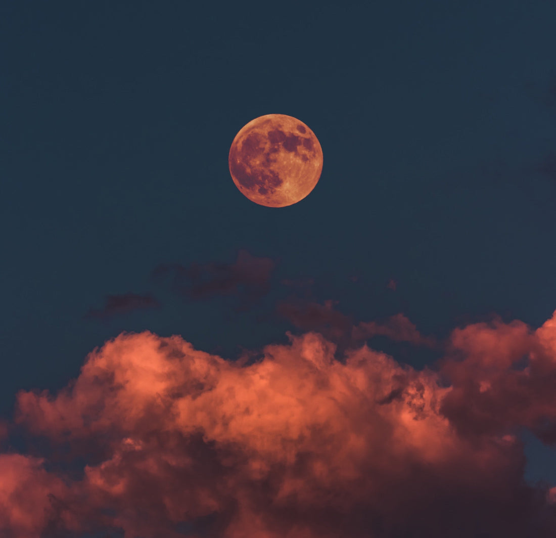 November's Lunar Eclipse Cacao Ritual