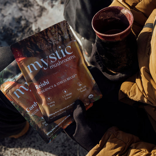 Why Ceremonial Cacao Increases Bioavailability