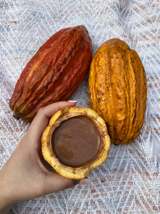 What Does It Mean That Cacao Is A Whole Food?