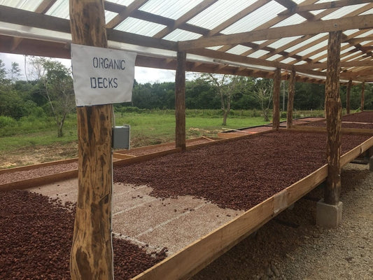 Our Latest Lab Testing  For Heavy Metals