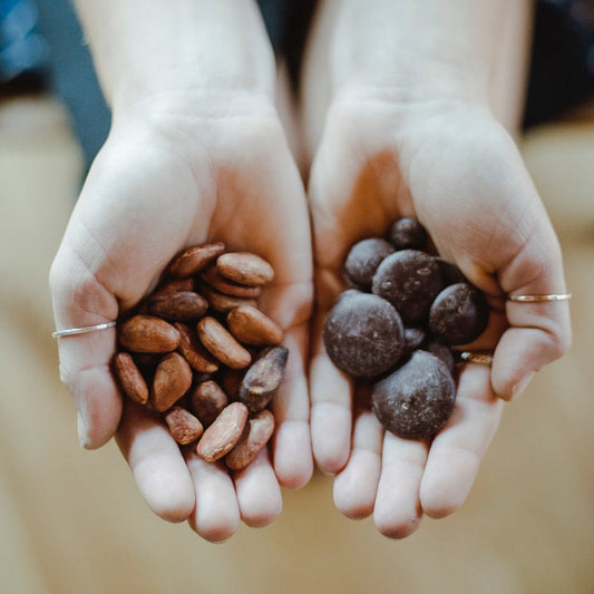 January Ritual Report: A New Cycle Begins ✨