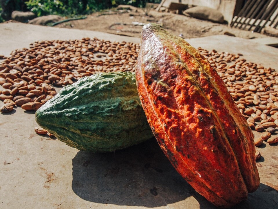 Support The Farmers Who Grow Your Cacao