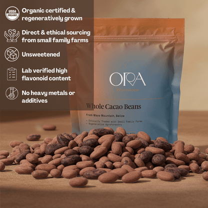 Granos De Cacao (Enteros)
