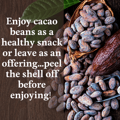 Granos De Cacao (Enteros)