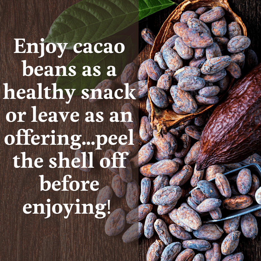 Cacao for Babies - Solid Starts Cacao for Babies - Solid Starts
