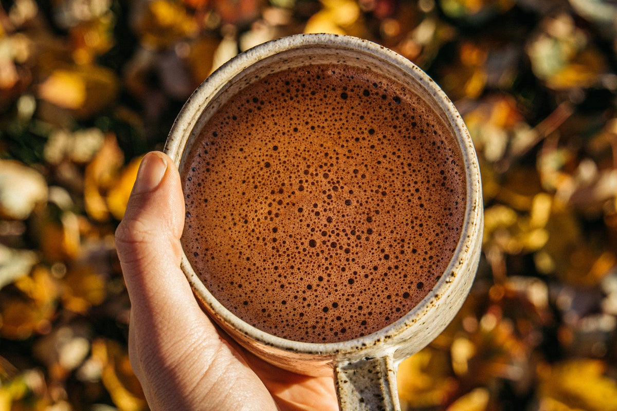 Cacao Original En Poudre – 2,5 Kg – Saveur Authentique, Sans Additifs, Préparation Chocolat Chaud Maison