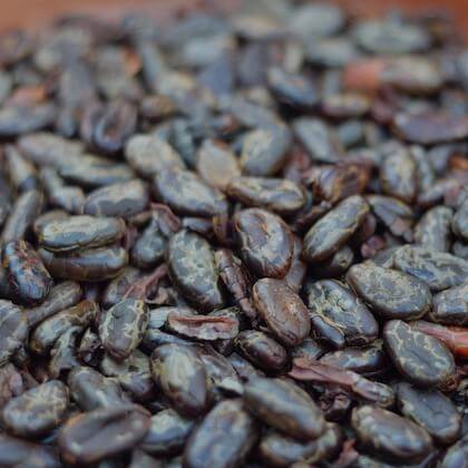 Close-up of cacao nibs and beans, showcasing their raw, earthy texture and rich color