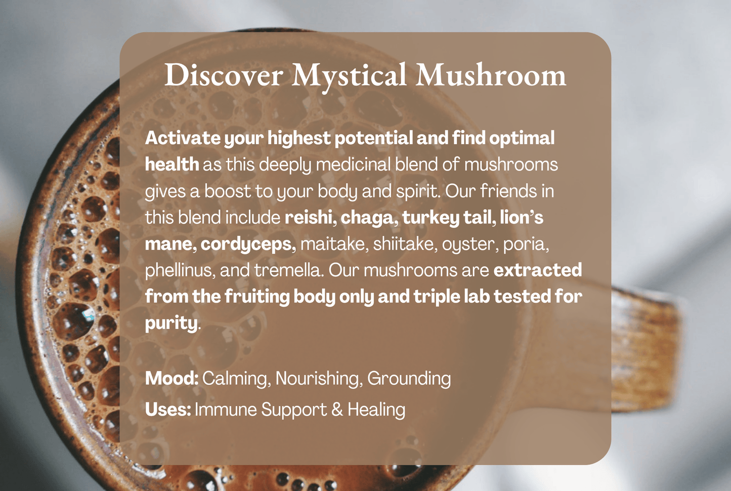 Mystical Mushroom