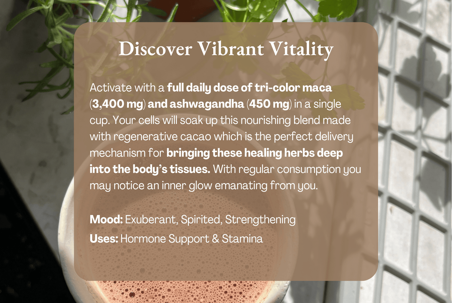Vibrant Vitality