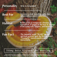 Reishi