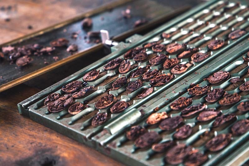 A visual representation of Ora Pure Ceremonial Grade Cacao from Belize, emphasizing its purity