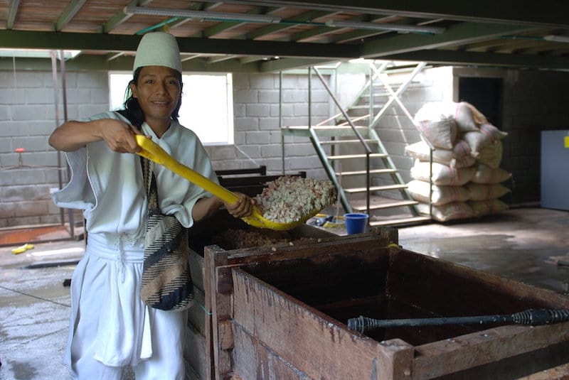 Ora Pure Ceremonial Grade Cacao from Connected Colombia, celebrating rich cacao roots