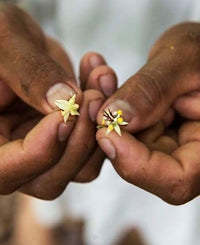 Connected Colombia