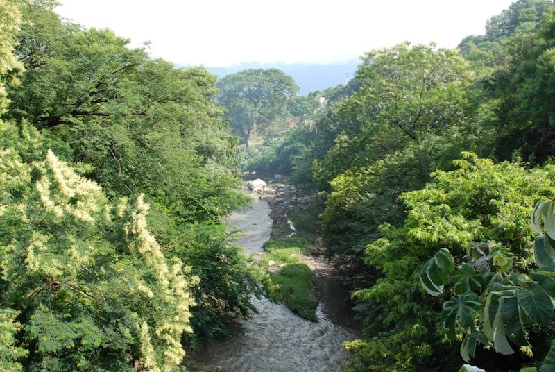 Ora Pure Ceremonial Grade Cacao from Connected Colombia, embodying rich cacao culture