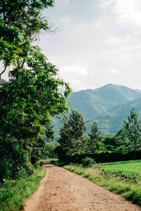 Uplifting Uganda