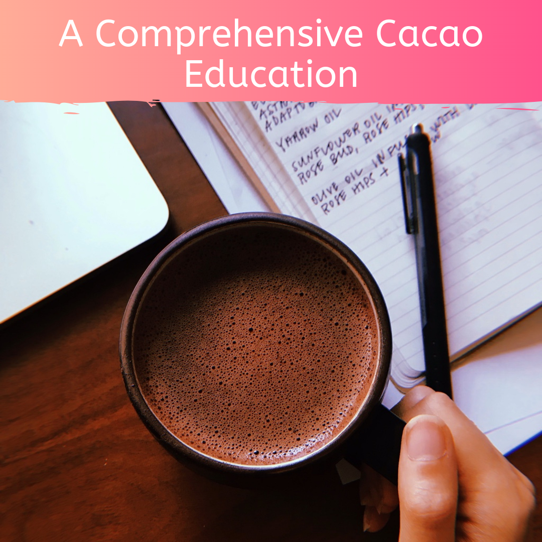 Full Course: A Comprehensive Cacao Education for Cacao Ceremony and Holistic Health by Firefly Chocolate
