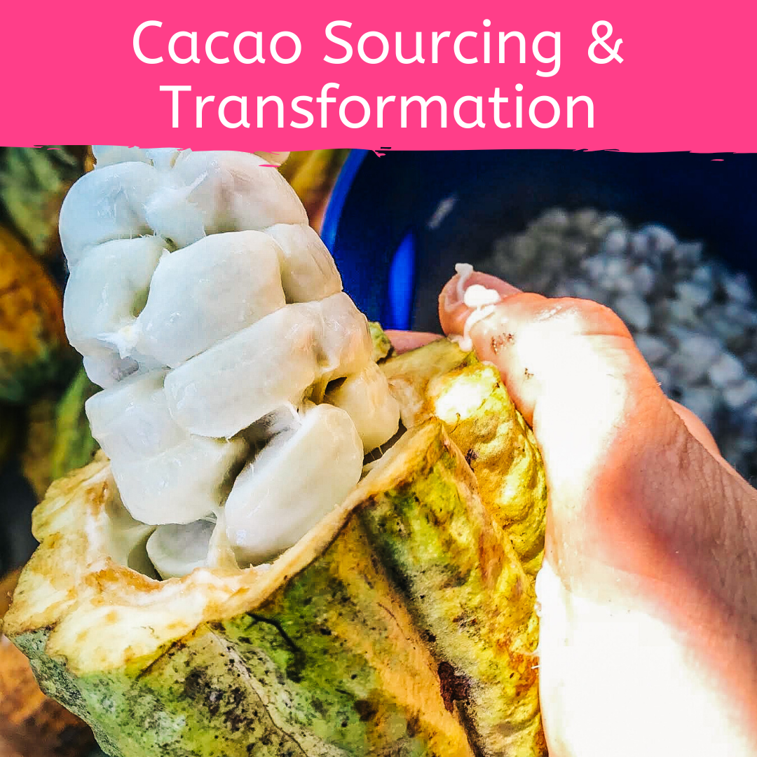 Course 4: Cacao Sourcing and Transformation for Cacao Ceremony and Holistic Health by Firefly Chocolate