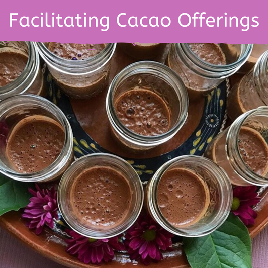 Course 5: Facilitating Cacao Offerings for Cacao Ceremony and Holistic Health by Firefly Chocolate