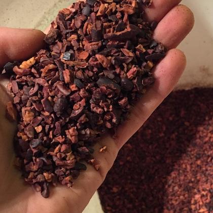 Cacao Nibs for Cacao Ceremony and Holistic Health by FireflyChocolate